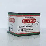 Cloxcin 500